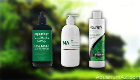 Why Substrate is Needed for a Successful Aquarium Setup - Aquarium A to Z