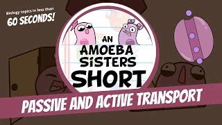 Passive and Active Transport - Amoeba Sisters | Doovi