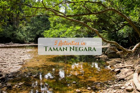 5 Activities in Taman Negara - Wayfaring Londoner | Taman negara, Negara, Activities