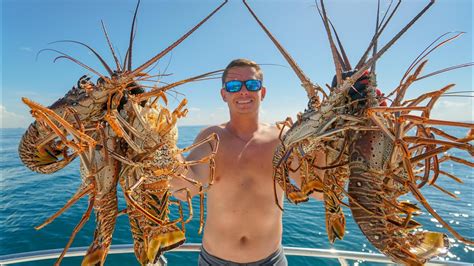 Florida SPINY Lobster! Catch and Cook (Diving & Lobstering Ft. Lauderdale)