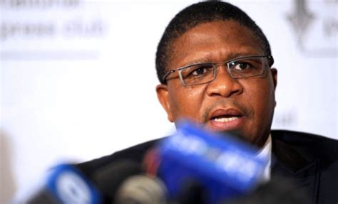 SA Court Papers: How Minister Fikile Mbalula Received R1m From Bozwana