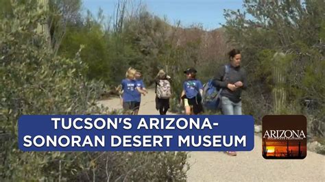 Tucson's Arizona-Sonoran Desert Museum - YouTube