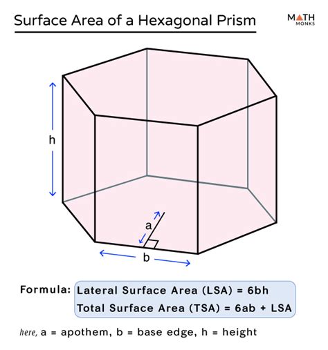 Surface Area of a Hexagonal Prism - Formulas & Examples