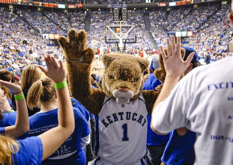 Behind the mask - Kentucky's college mascots | Kentucky Living