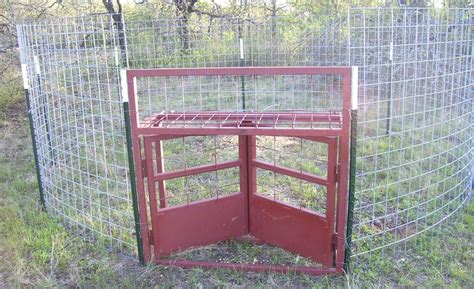 High Quality Custom Hog Traps by "BOSS HAWG", Cross Plains Texas