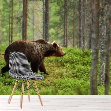 Brown Bear In Forest Woodland Wallpaper Wall Mural