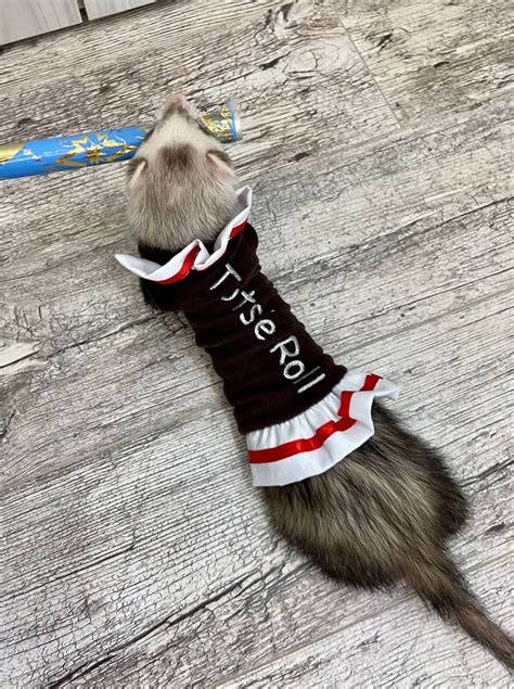 Ferrets In Costumes