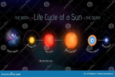 Our Sun Life Cycle