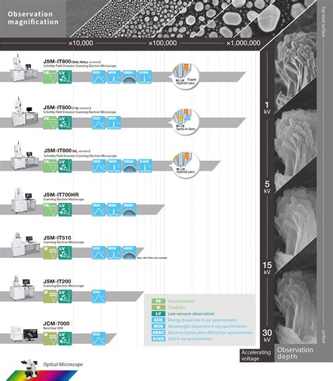 Scanning Electron Microscope (SEM) | Products | JEOL Ltd.