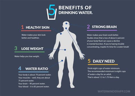 5 benefits of drinking water infographic – Hydration Tips