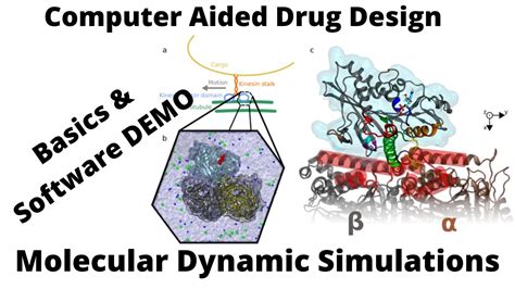 Live Webinar on Molecular Dynamic Simulations Basics and Software Demo. - YouTube