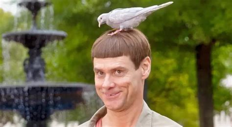 Lloyd Christmas Haircut: A Humorous Twist on Hair Styling - Fashion Beauty Blog