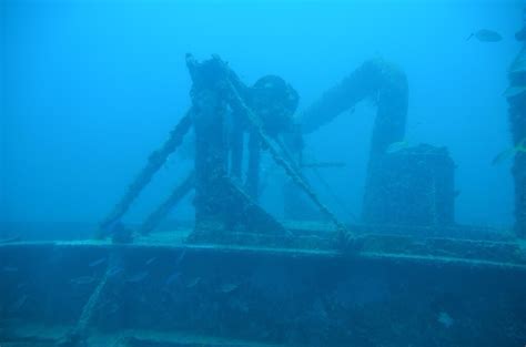 20,000 Leagues Under Aruba – Submarine Experience in Paradise