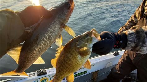 BEST DAY OF THE YEAR! | ONEIDA LAKE FISHING REPORT | WEDNESDAY 112322 - YouTube