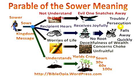 The Parable Of The Sower!