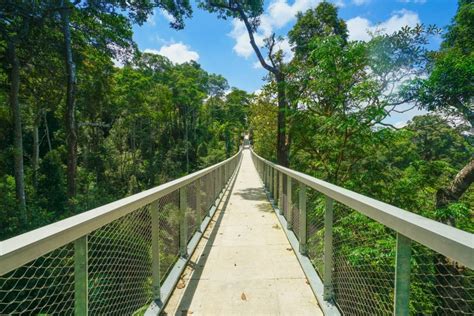 Penang Hill Canopy Walk - Discover great parks, preserves, and natural ...