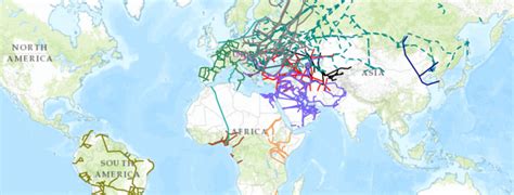 World Gas Pipeline Map | My XXX Hot Girl