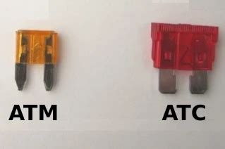 What Is An ATC Fuse and How Does It Look? - Mechanic Ask