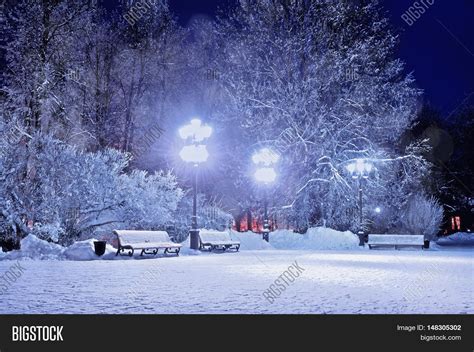 Winter Night. Winter Landscape- Image & Photo | Bigstock