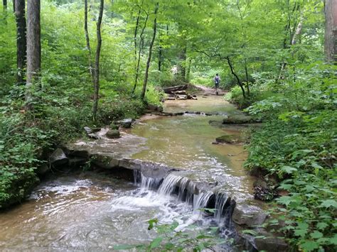 Hoosier National Forest Archives – Indiana Forest Alliance