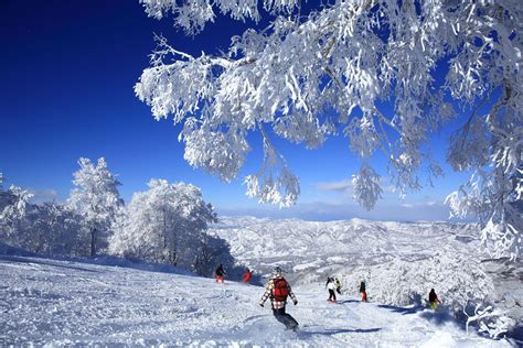 Do You Know Nagano Prefecture Has the Highest Number of Ski Resorts in ...