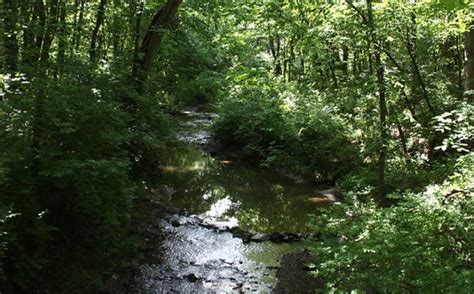 Knob Noster State Park | Missouri State Parks