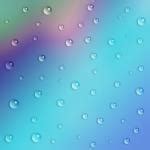 Water Droplets On Succulent Free Stock Photo - Public Domain Pictures