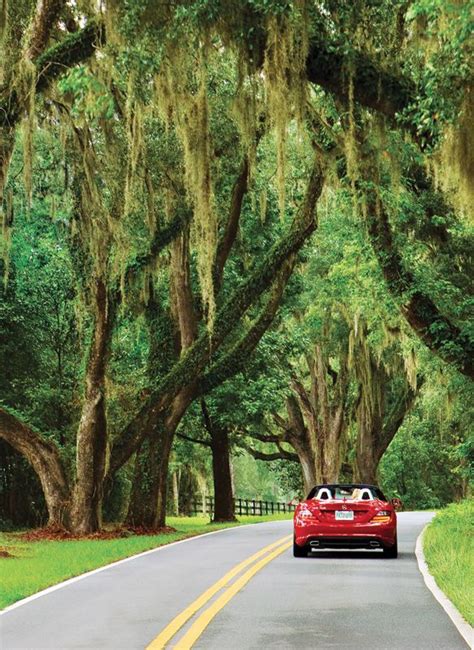 Florida Panhandle Road Trip - Weekend Getaway to Tallahassee | Road trip florida, Florida ...