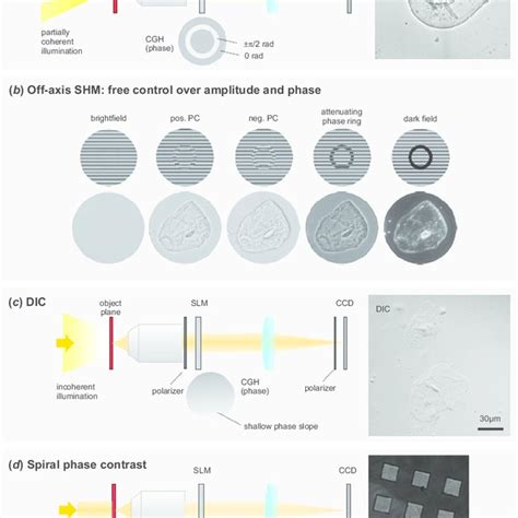 Traditional holography (left) vs. computer generated holography (right ...