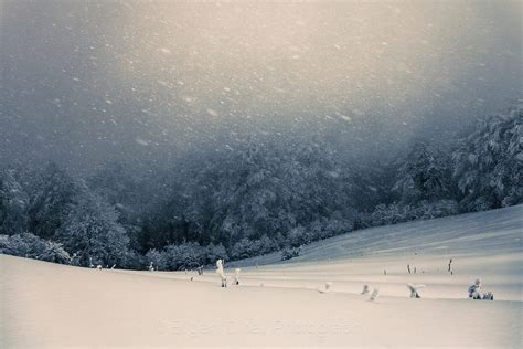 Winter blizzard - Evgeni Dinev Photography