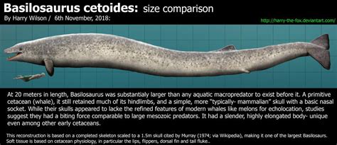 Basilosaurus Size by Harry-the-Fox | Prehistoric animals, Prehistoric animals dinosaurs, Bizarre ...