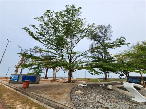 Pantai Morib now open to public after clean-up, repair works | The Star