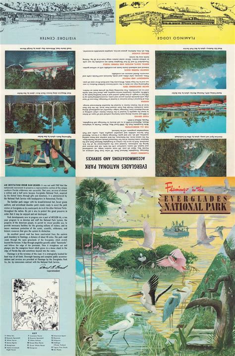 Flamingo in the Everglades National Park.: Geographicus Rare Antique Maps