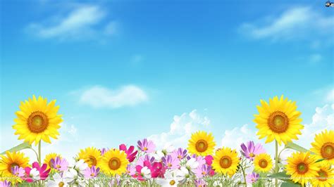 Summer wallpaper, Pretty flowers background, Flower backgrounds