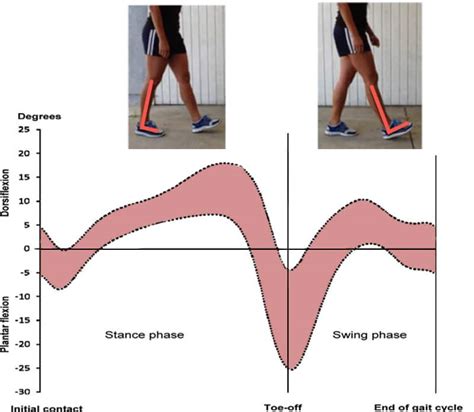 Ankle Dorsiflexion Test