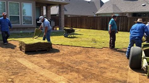 Sod Grass Installation in McKinney TX | McKinney Sod Installer | Best Sod