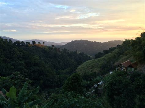 Elevation of Stony Hill, Jamaica - Topographic Map - Altitude Map