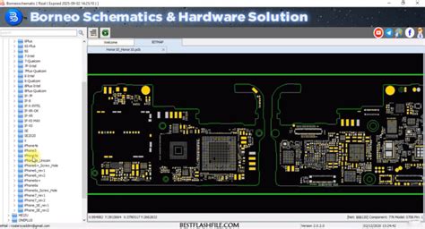 Borneo Schematics 2 Users (3 Months) Activation Code