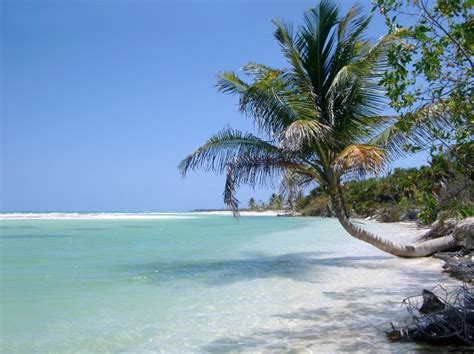 Free Stock photo of Idyllic tropical beach | Photoeverywhere