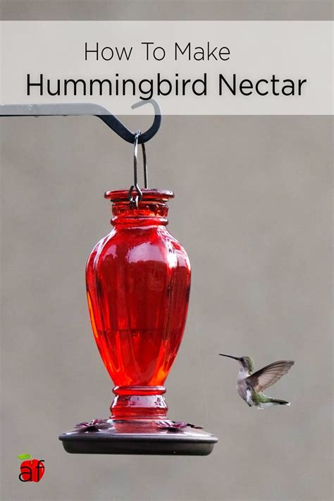 Hummingbird Nectar | Recipe | Hummingbird nectar, Hummingbird food, Hummingbird