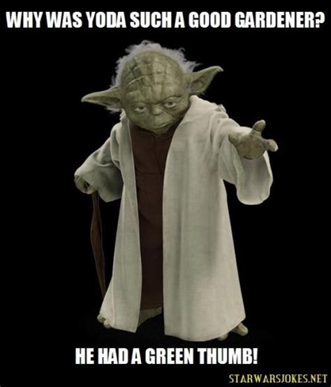 Why was Yoda such a good gardener? He had a green thumb! | Star wars humor, Star wars geek, Star ...