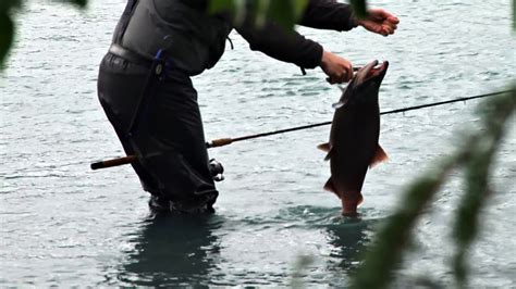 catch and release fishing - YouTube