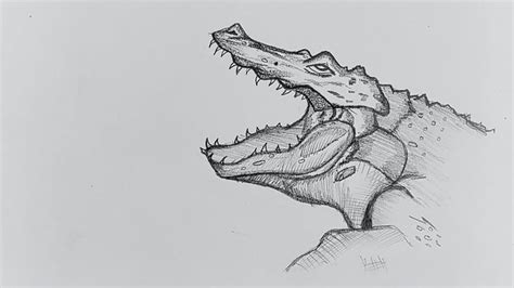 How To Draw Crocodile // Crocodile Face Drawing // Realistic Crocodile Drawing // Pencil ...