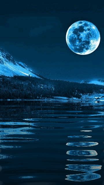 Moonlit Night Wallpaper