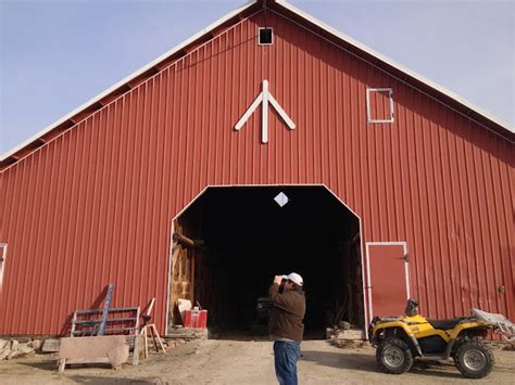 Birding Is Fun!: How to find a Barn Owl