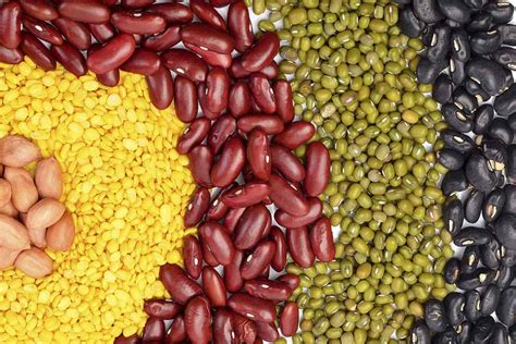 Are Chili Beans High in Carbs? A Detailed Look at Their Nutritional Value