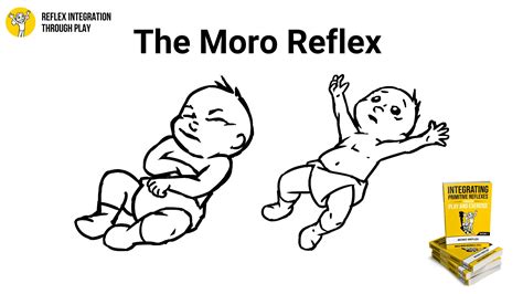 The Moro Reflex: Key to Infant Survival and Development - Reflex Integration Through Play