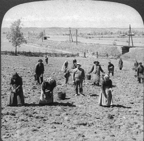 Planting time on a farm near Jönköping, Sweden, circa 1905, cropped ...