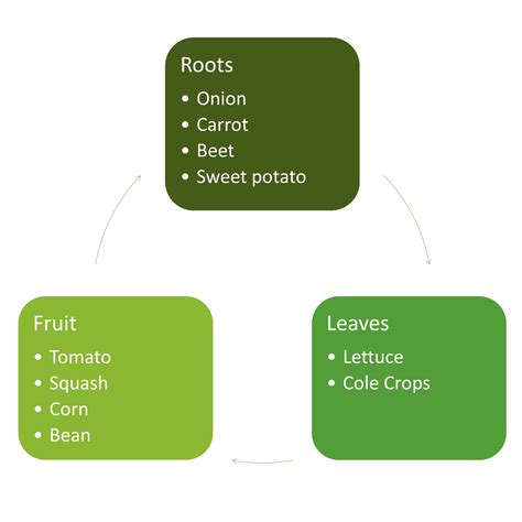 Crop Rotation in the Vegetable Garden | Horticulture and Home Pest News