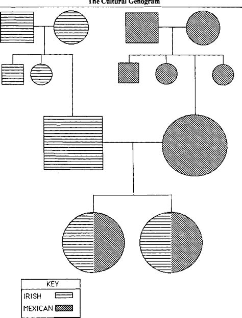 The Cultural Genogram Key to Training Culturally Competent Family ...